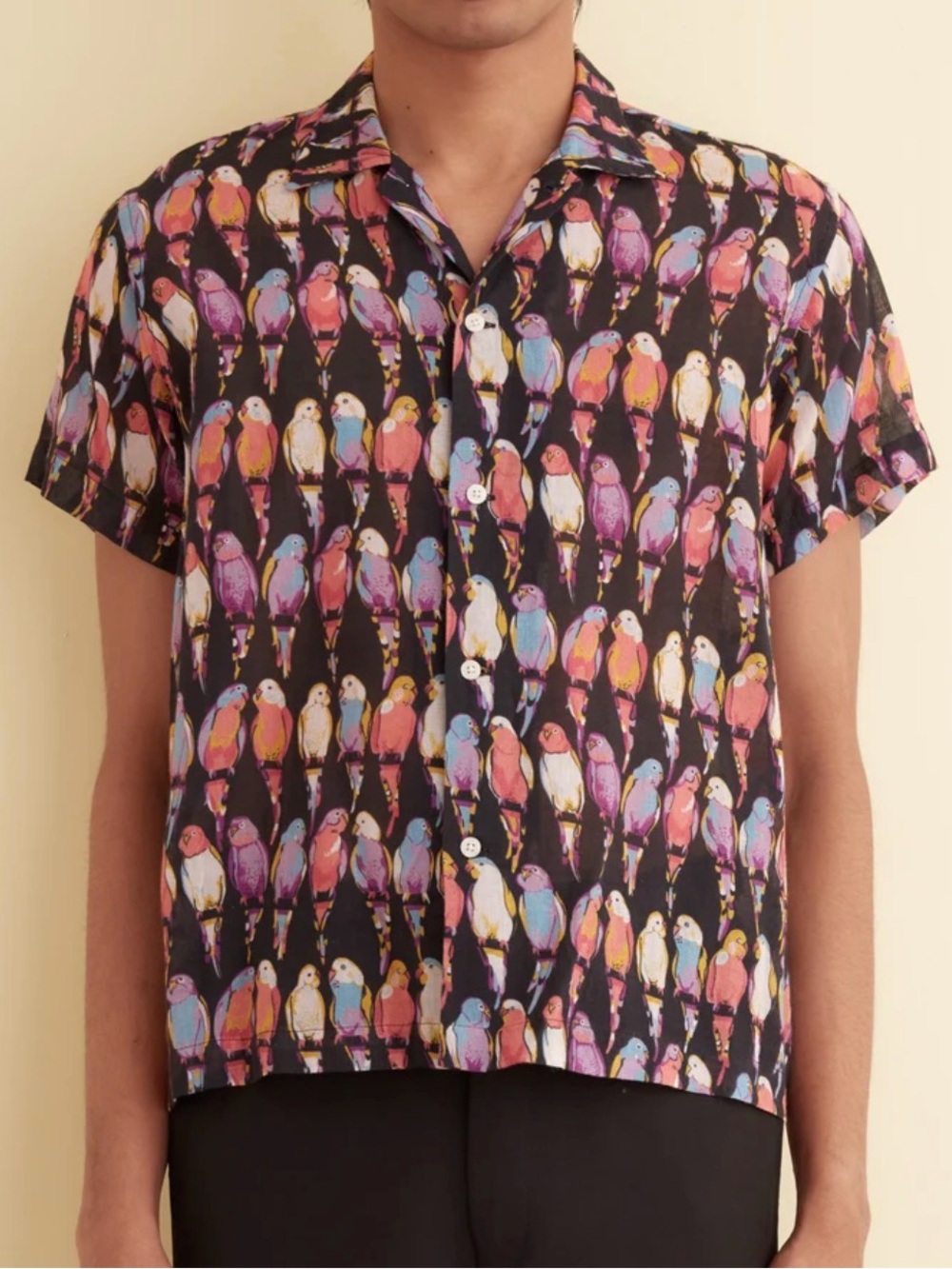 Bode parakeet short sleeve shirt size L